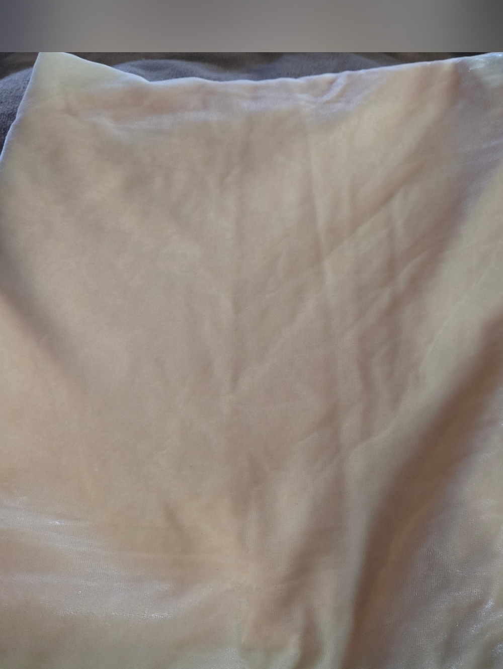 West Elm Lush Velvet Blush Pink Pillowcase 26 x 26